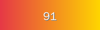 91